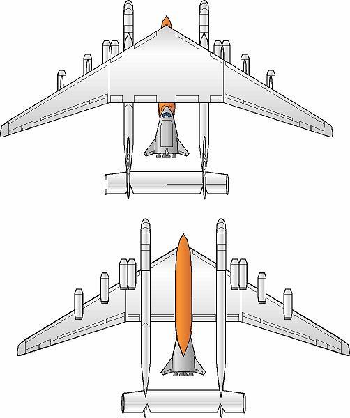 49M Top/Bottom Views