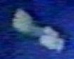 Shenzhou