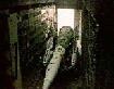 N1 Rollout
